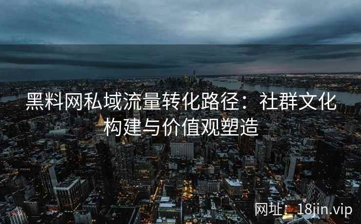 黑料网私域流量转化路径：社群文化构建与价值观塑造