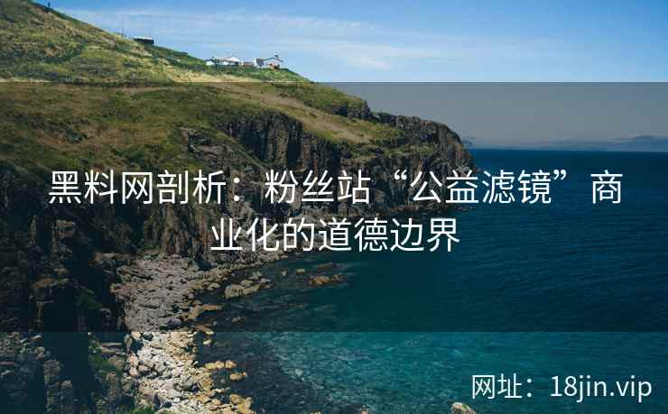 黑料网剖析：粉丝站“公益滤镜”商业化的道德边界