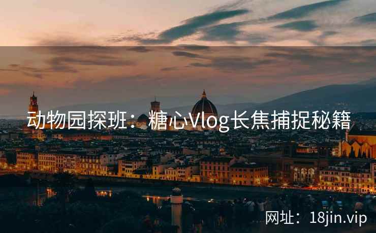 动物园探班：糖心Vlog长焦捕捉秘籍