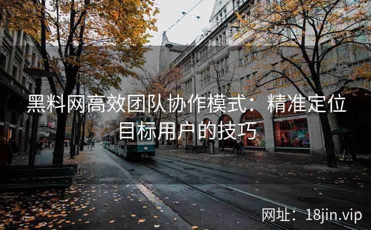黑料网高效团队协作模式：精准定位目标用户的技巧